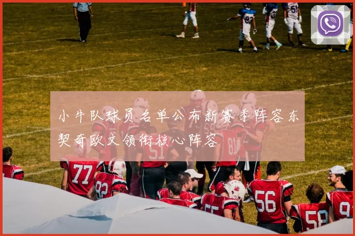 小牛队球员名单公布新赛季阵容东契奇欧文领衔核心阵容