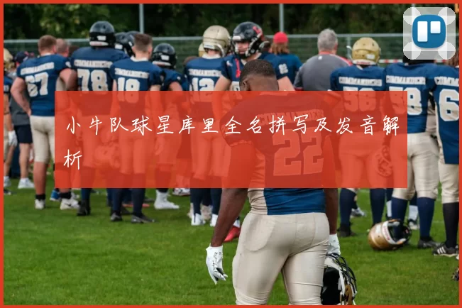 小牛队球星库里全名拼写及发音解析