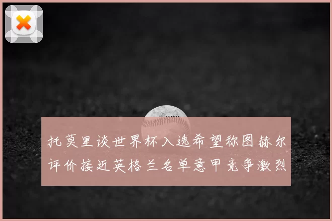 托莫里谈世界杯入选希望称图赫尔评价接近英格兰名单意甲竞争激烈