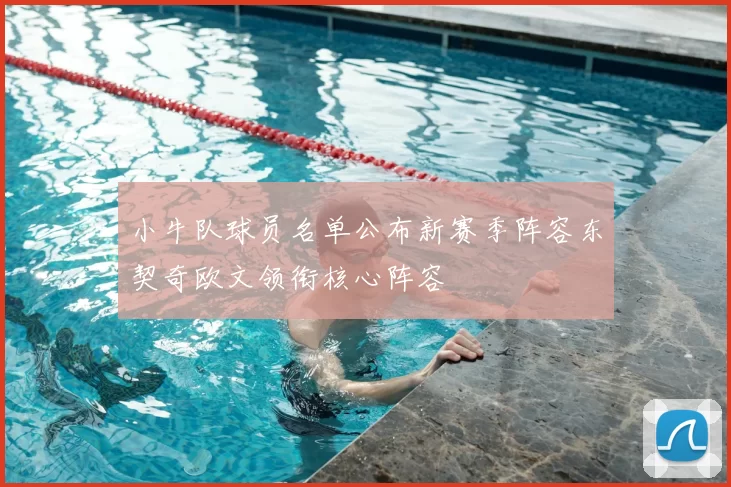 小牛队球员名单公布新赛季阵容东契奇欧文领衔核心阵容